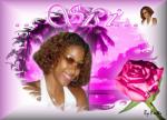 fleur de lysses